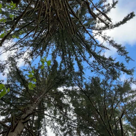 Meet your Posher, Jayden - Picture 1 of 1